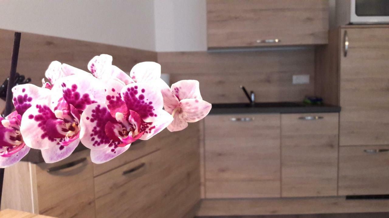 Appartment Charly Siusi Luaran gambar